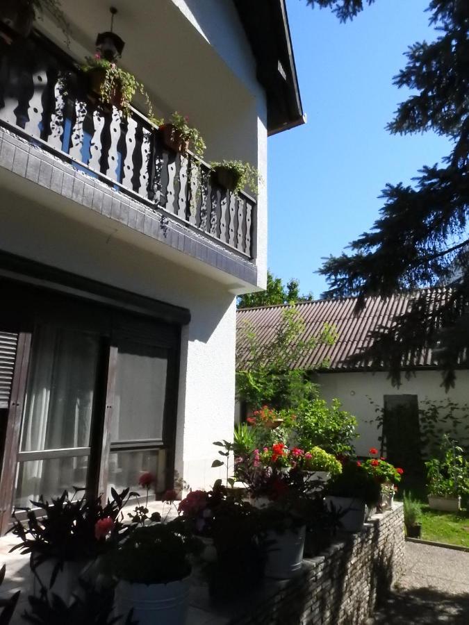 Haus Gizella Harkány Exterior foto