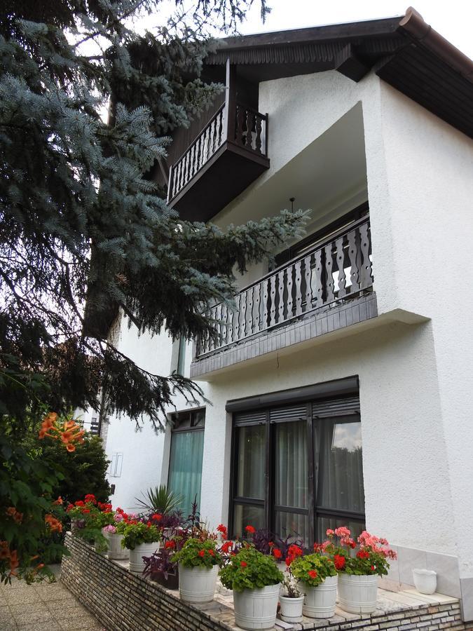 Haus Gizella Harkány Exterior foto